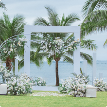 草坪婚礼-旅行婚礼定制